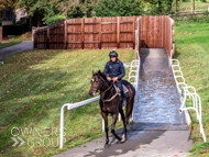 WG061023-47 - Warren Greatrex stable vist